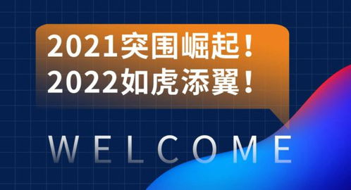 專業時代下的營銷崛起生態 2021洛陽青峰網絡互聯網創新營銷